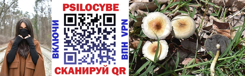 Галлюциногенные грибы MAGIC MUSHROOMS  что такое наркотик  Истра 